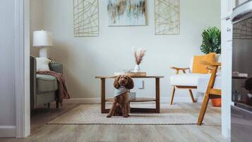 A cozy living room with a dog, a coffee table, a sofa, and a lamp.