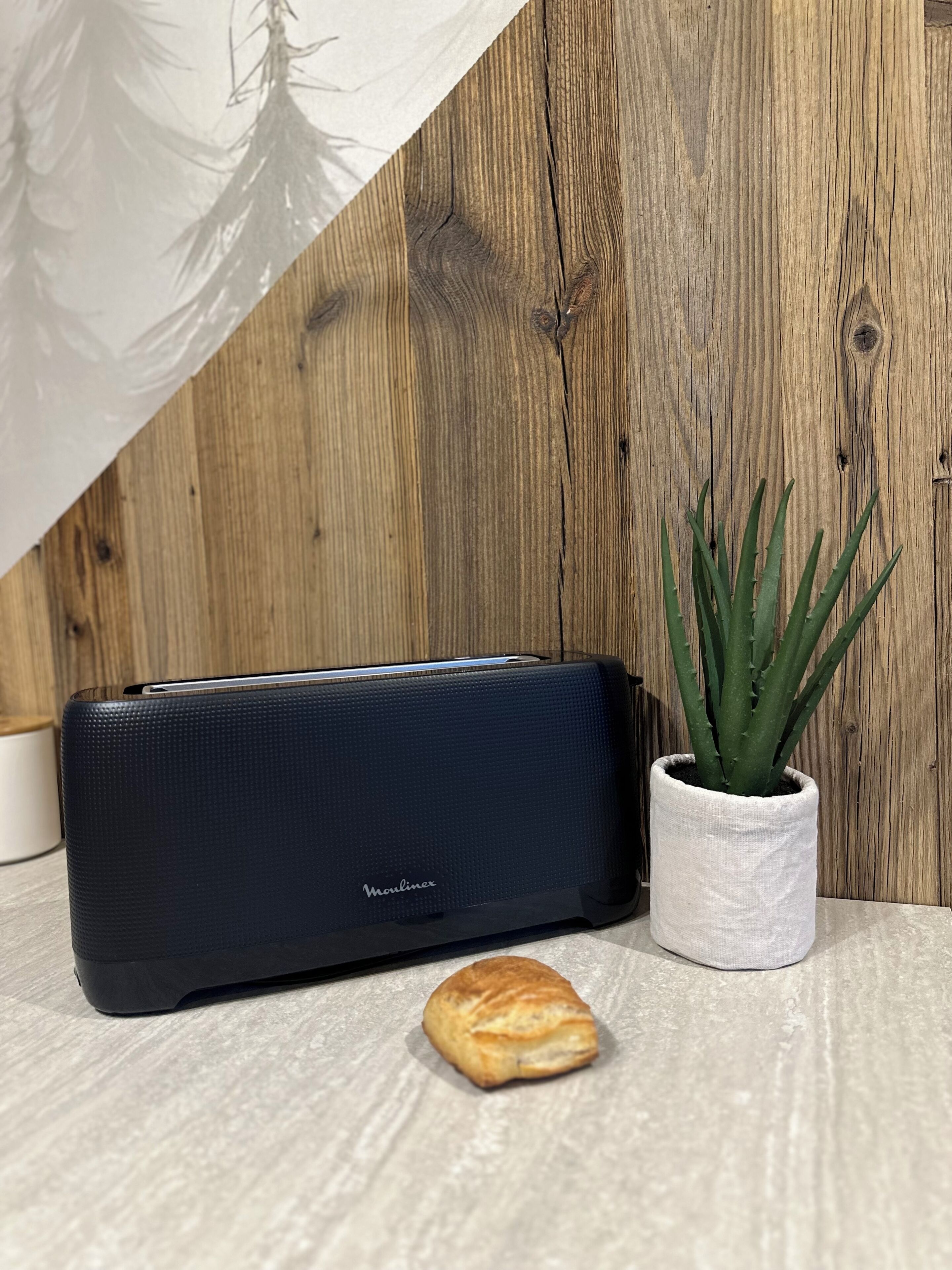 A black portable speaker, a potted aloe plant, and a croissant on a wooden surface.