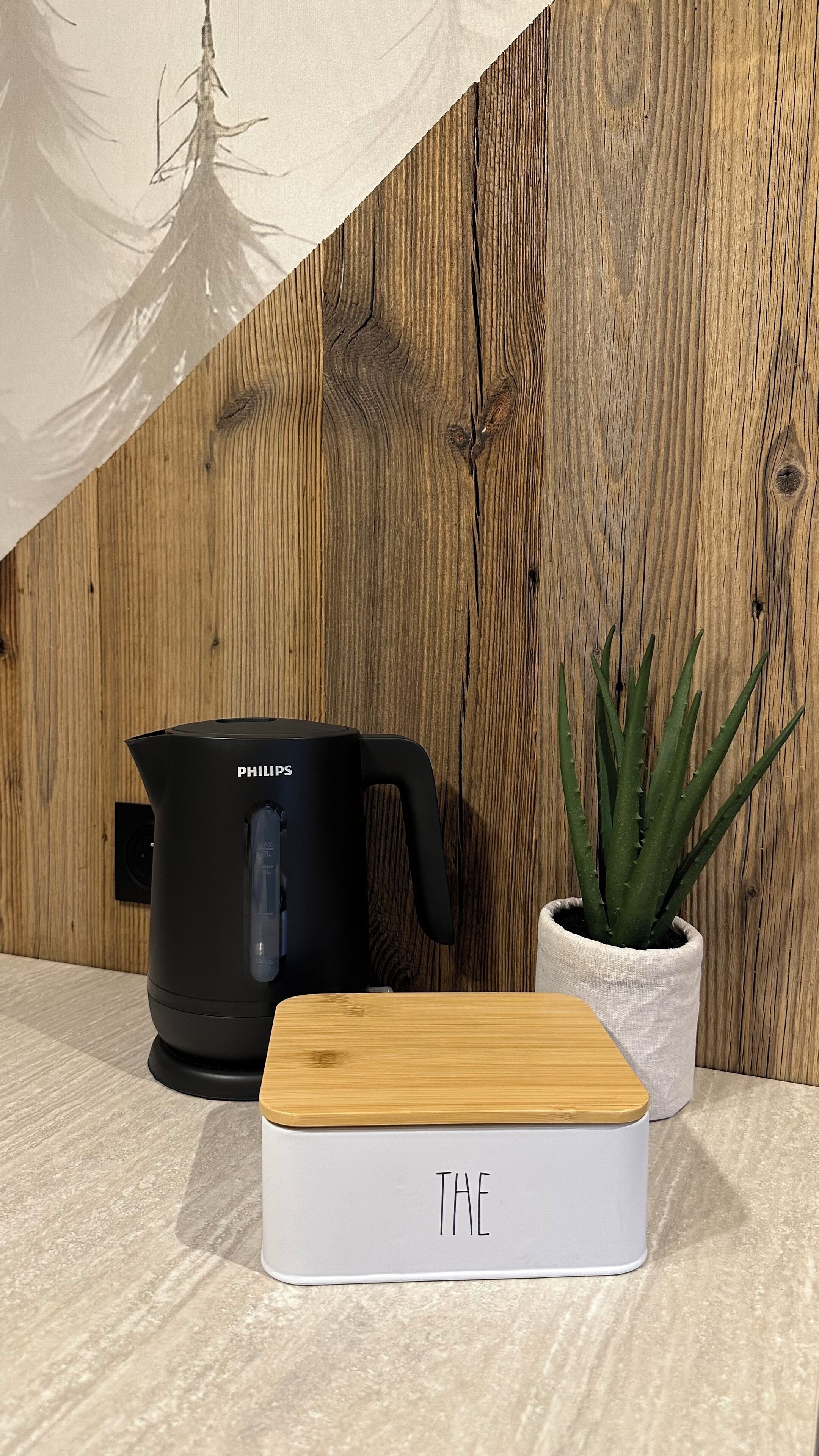 A black Philips coffee maker, a white container with a wooden lid, and a potted aloe vera plant on a wooden surface.