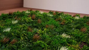 Un interior moderno con techo de vidrio, pared de madera y una zona verde exuberante.