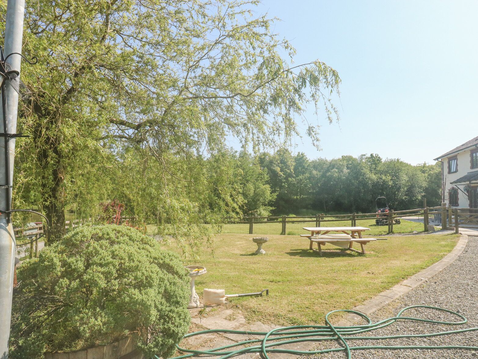 A garden with a picnic table, a birdbath, and a hose on the ground.
