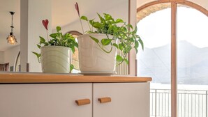 Una cocina con dos plantas en macetas sobre la encimera, un armario de madera y vistas a un paisaje nevado a través de un ventanal grande.