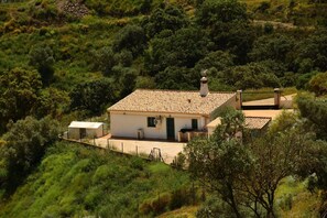 Exterior - Villa in Malaga, private pool and sea view (Cartama)