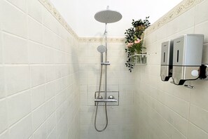 Shower, hair dryer, towels
