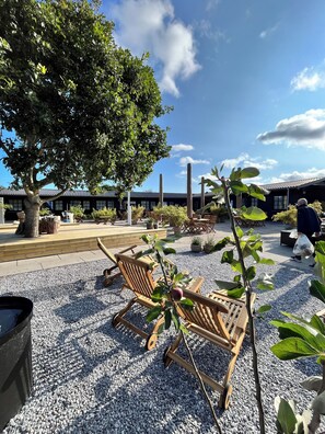 A courtyard with wooden chairs, a large tree, and a building with a tiled roof. - GuestHouse Læsø (Læsø)