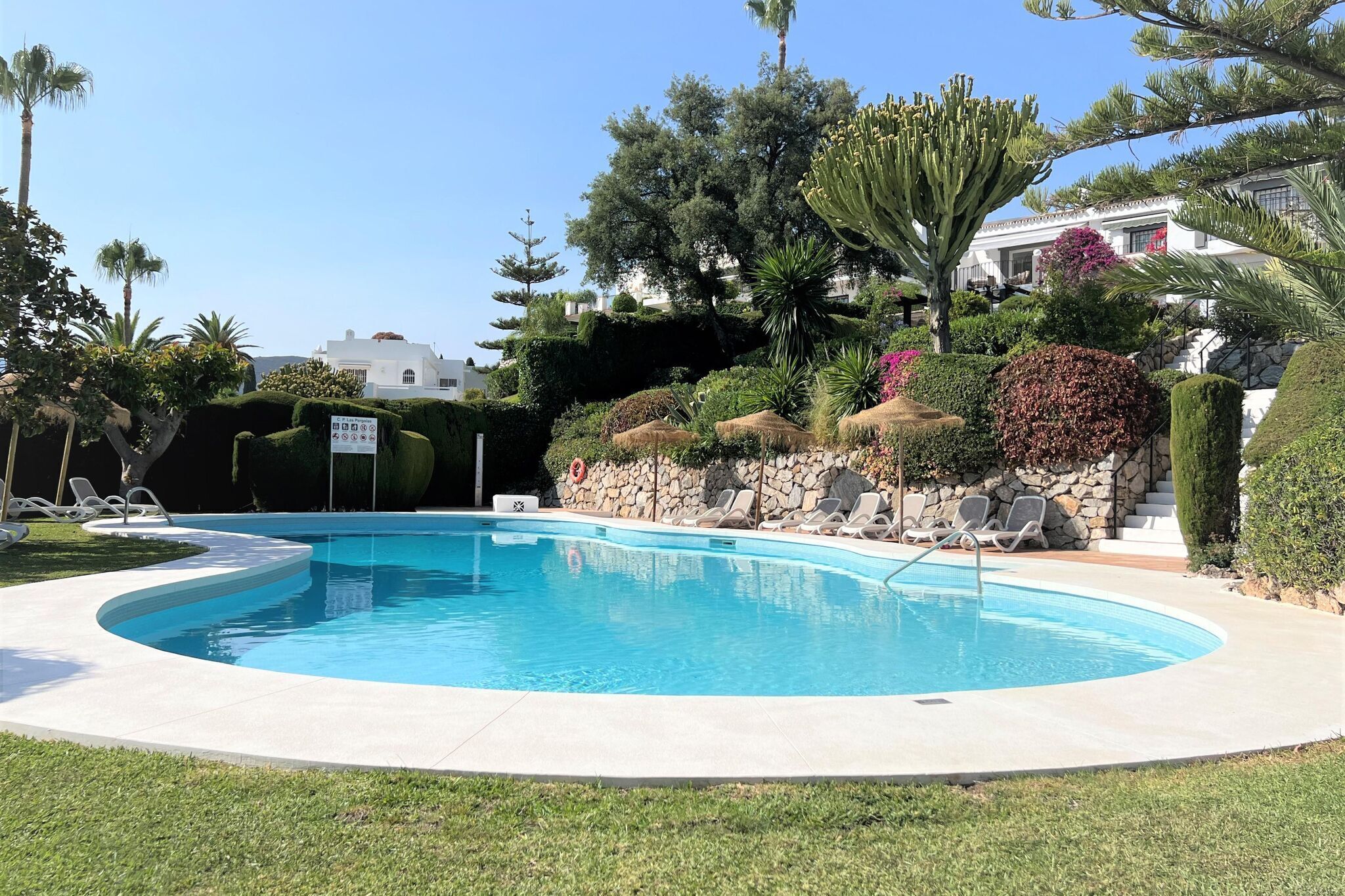 A swimming pool with a stone wall and palm trees.