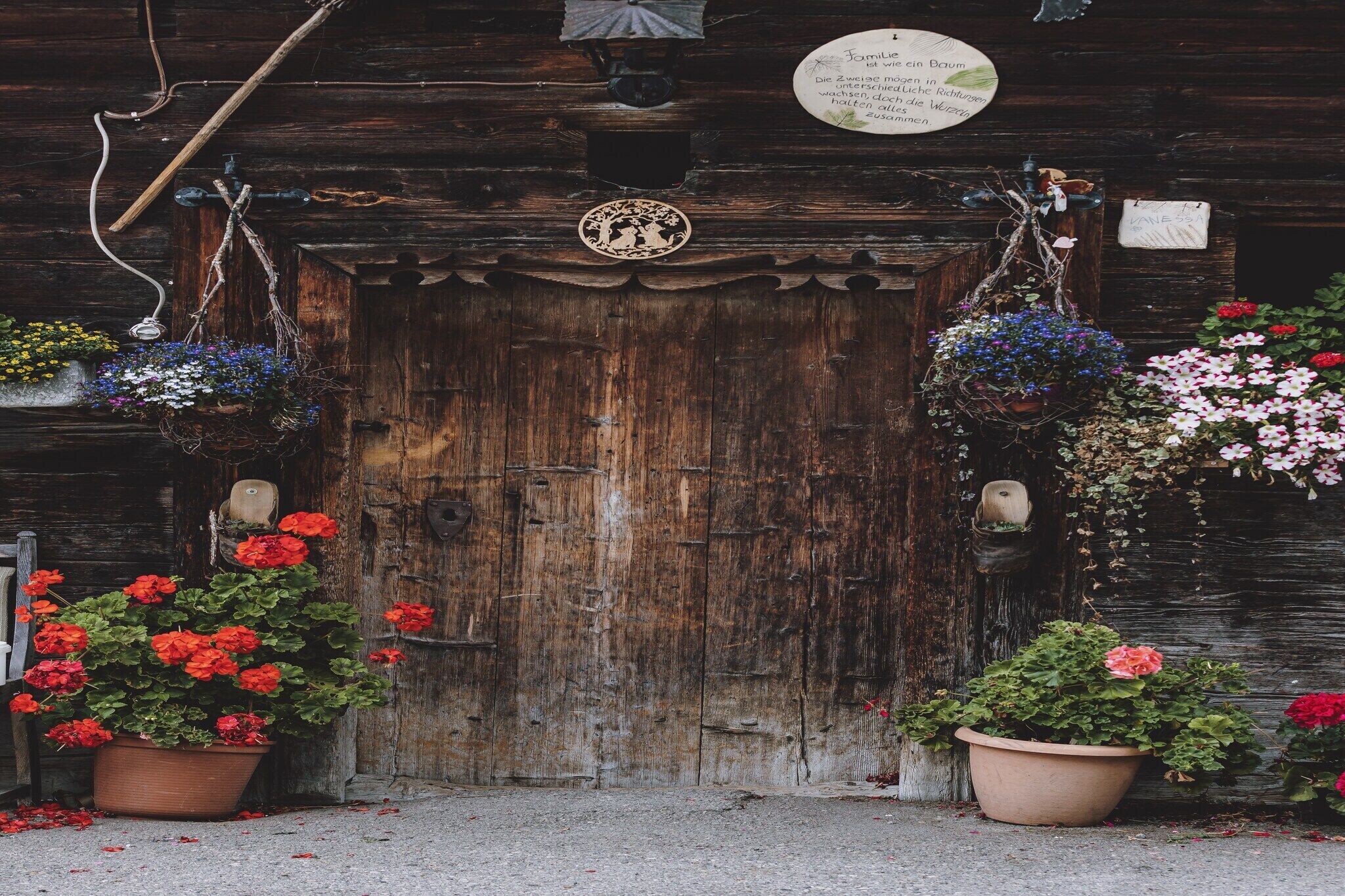 Detall de l'exterior