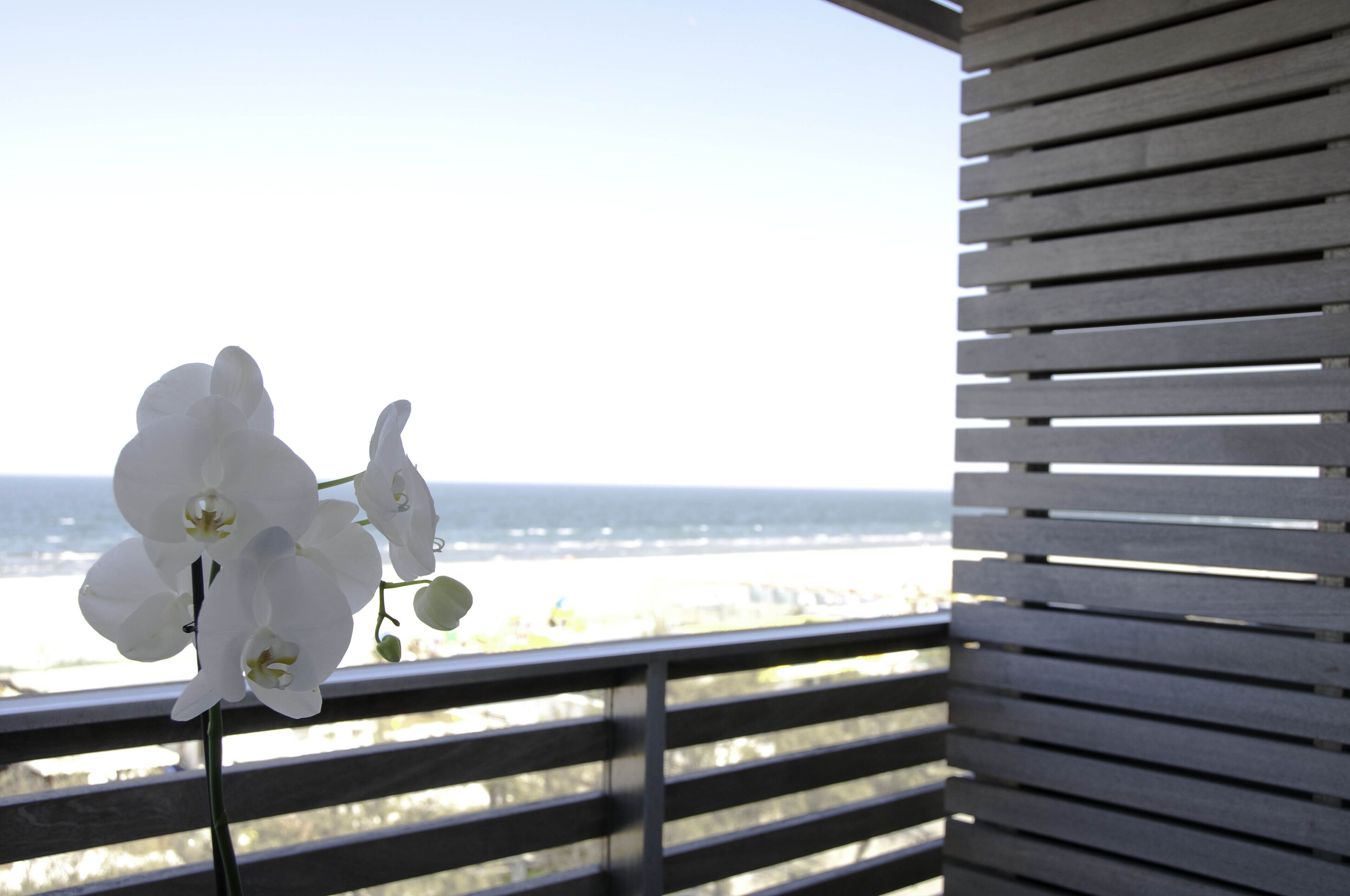 A balcony with a railing overlooking a beach and ocean view.