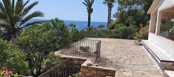 Seafront house on large property (pet friendly)