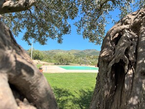 Property grounds - 5 cottages overlooking the Sicilian countryside, suitable for families (Sicilia)