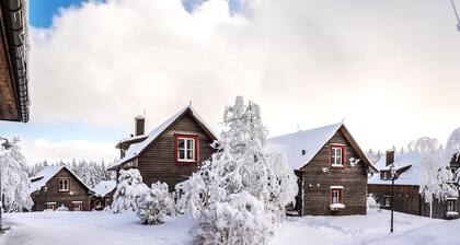 Ferienhäuser, Torfhaus Harz