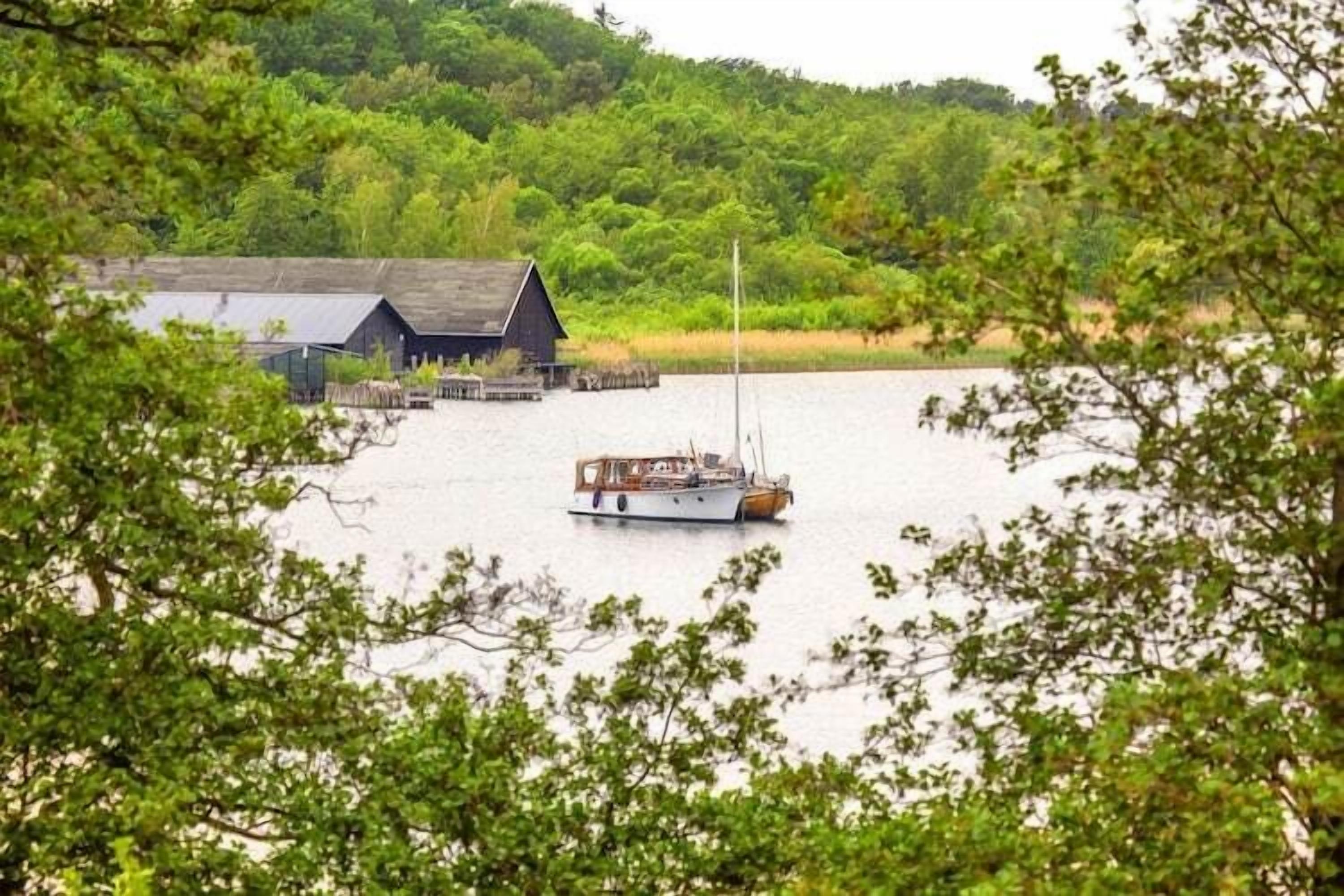 Un chalet rustique au bord d’un lac, entouré d’une végétation luxuriante.