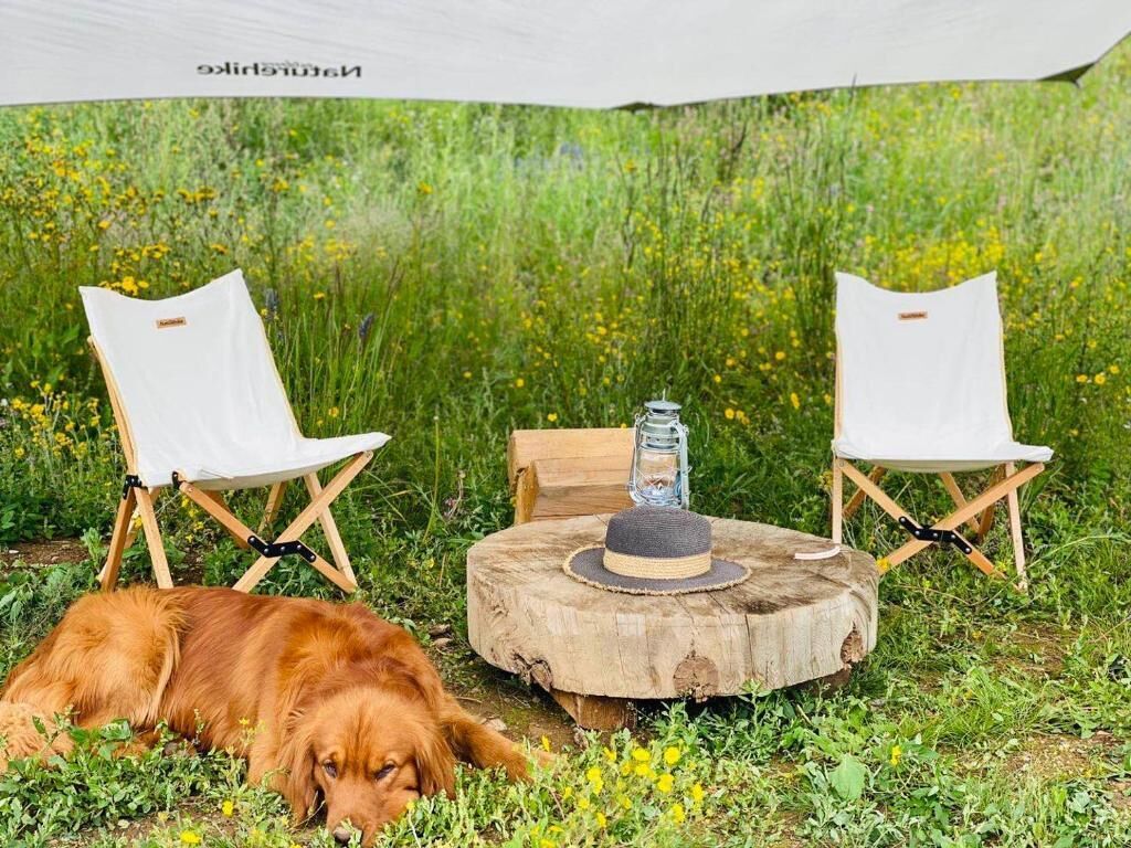 숙박 시설 구내