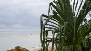 A beach with rocky foreground and a view of the sea. - Norm’s Place - a secluded, unique, absolute water front property at Amity Point (Amity Point)