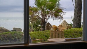 A view from a window overlooking a beach with a palm tree, rocks, and a wooden bench. - Norm’s Place - a secluded, unique, absolute water front property at Amity Point (Amity Point)