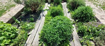 Gemütliche Wohnung auf dem Land inmitten der Natur