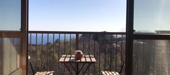 Masaya Villa waking up to the morning sun and birds singing / Ito Shizuoka