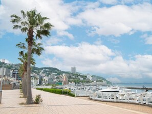 Eine Marina mit Booten, einer Palme und einer Stadtlandschaft im Hintergrund.