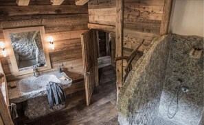 Shower, hair dryer, towels, toilet paper