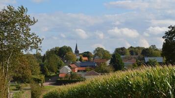 A rural village with houses, a church, and a cornfield.