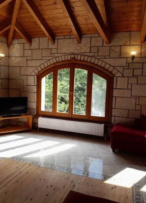 TV, fireplace, stereo - Studio Apartment "Tsarouxi Village 1" with Mountain View, Private Terrace & Wi-Fi (Karditsa)