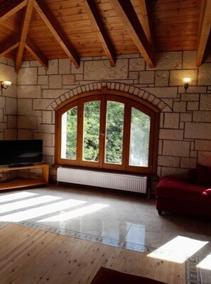 TV, fireplace, stereo