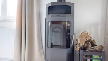 En modern öppen spis med en glaslucka, ett förvaringsutrymme för ved och en behållare med tändmaterial.