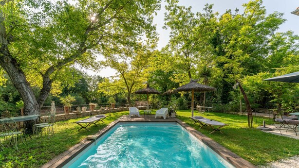 Una piscina rectangular amb gandules i ombrel·les, envoltada d'arbres i vegetació.