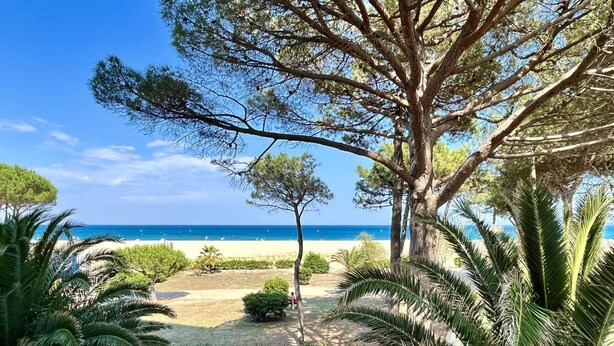 Une vue sur la plage, avec un grand arbre au premier plan, une zone sablonneuse parsemée de plantes et l’océan en arrière-plan.