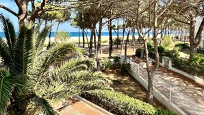 Un sentier bordé d’arbres qui mène à une plage, avec une clôture d’un côté et une vue dégagée sur l’océan.