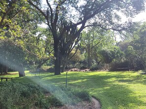 Área de parrilladas y picnic