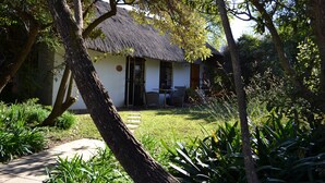 A thatched-roof house with a paved pathway leading to the entrance, surrounded by lush greenery.