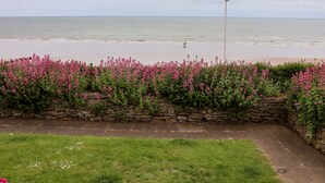 Blick auf die Küste mit einer Steinmauer und rosa Blüten im Vordergrund, die zum Strand führen.