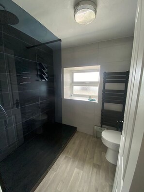Shower, towels, toilet paper