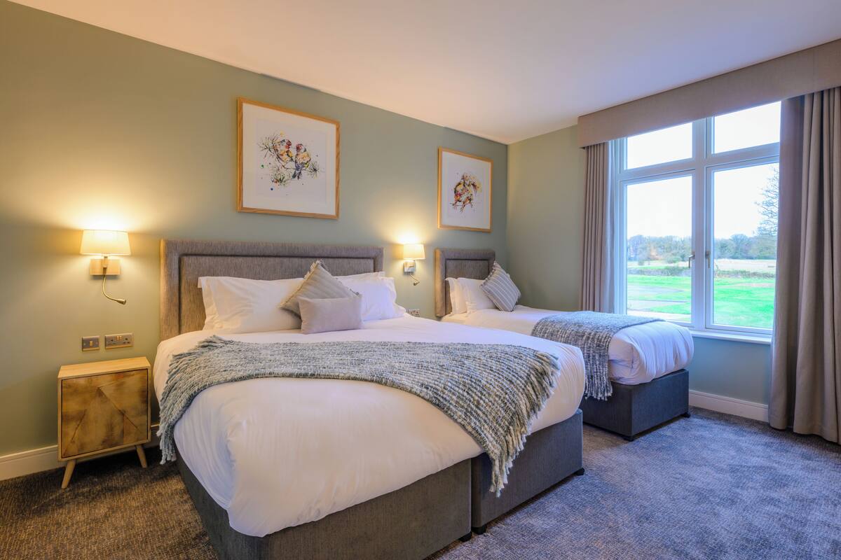A double bed with a grey headboard, a bedside table with a lamp, and a window with curtains.