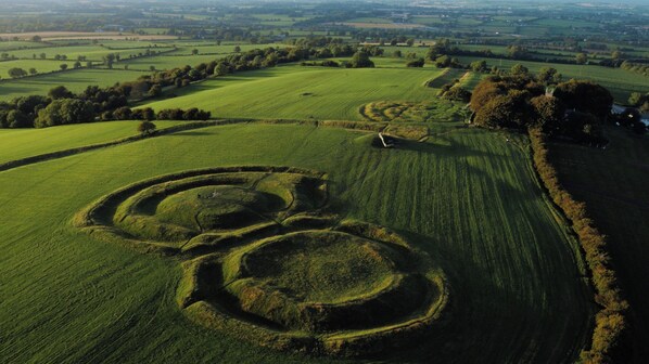 An aerial view of a rural landscape with rolling green fields and a few scattered trees. - Killeen Castle (Dunsany)