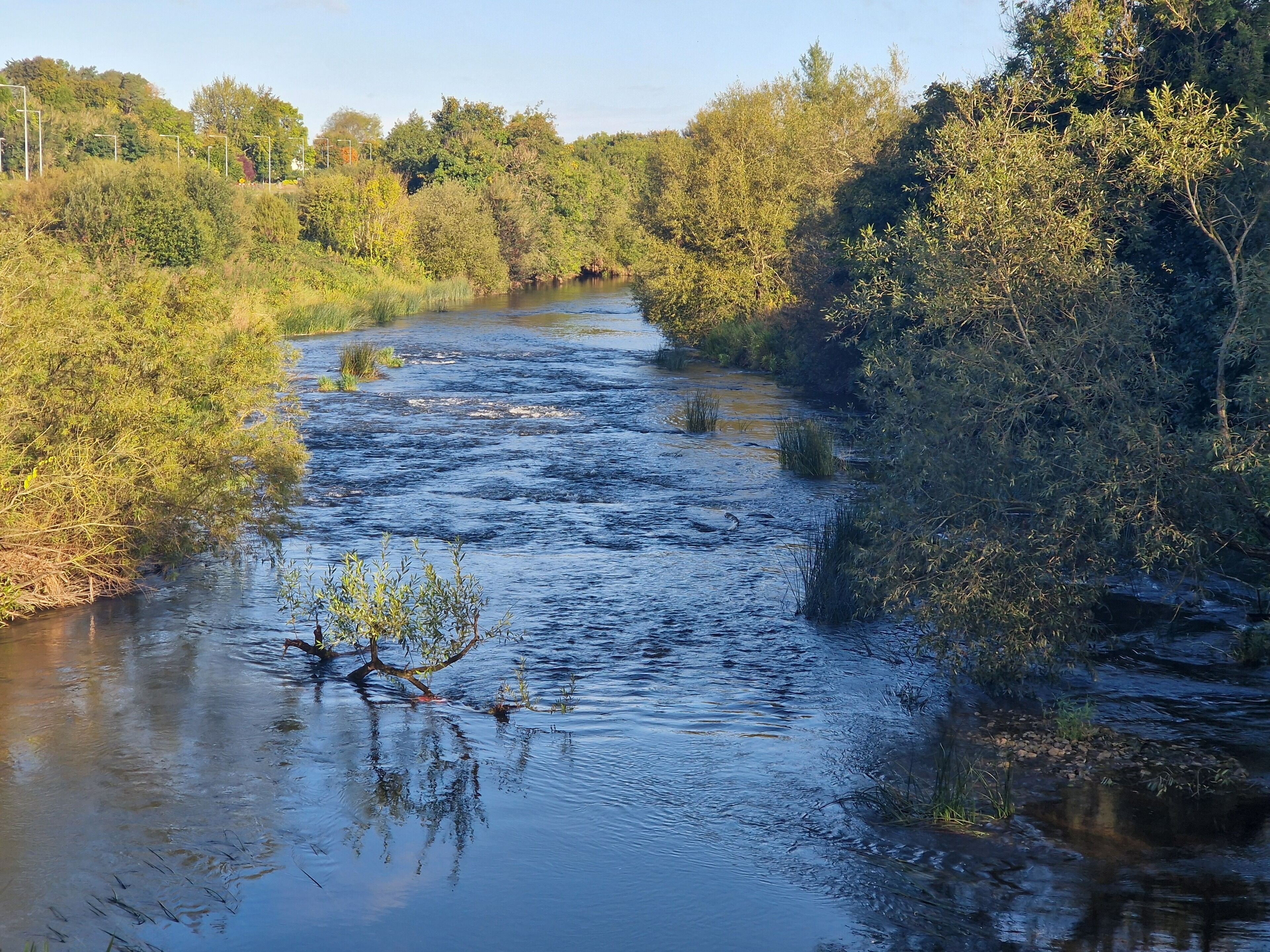 Une rivière qui traverse un paysage naturel, bordée d’une végétation luxuriante de part et d’autre.