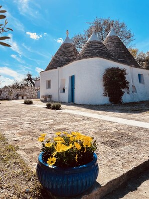 Exterior - 3 Bedroom Private vacation home in locorotondo (locorotondo)