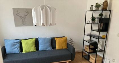 1 Bedroom Apartment in Bonn