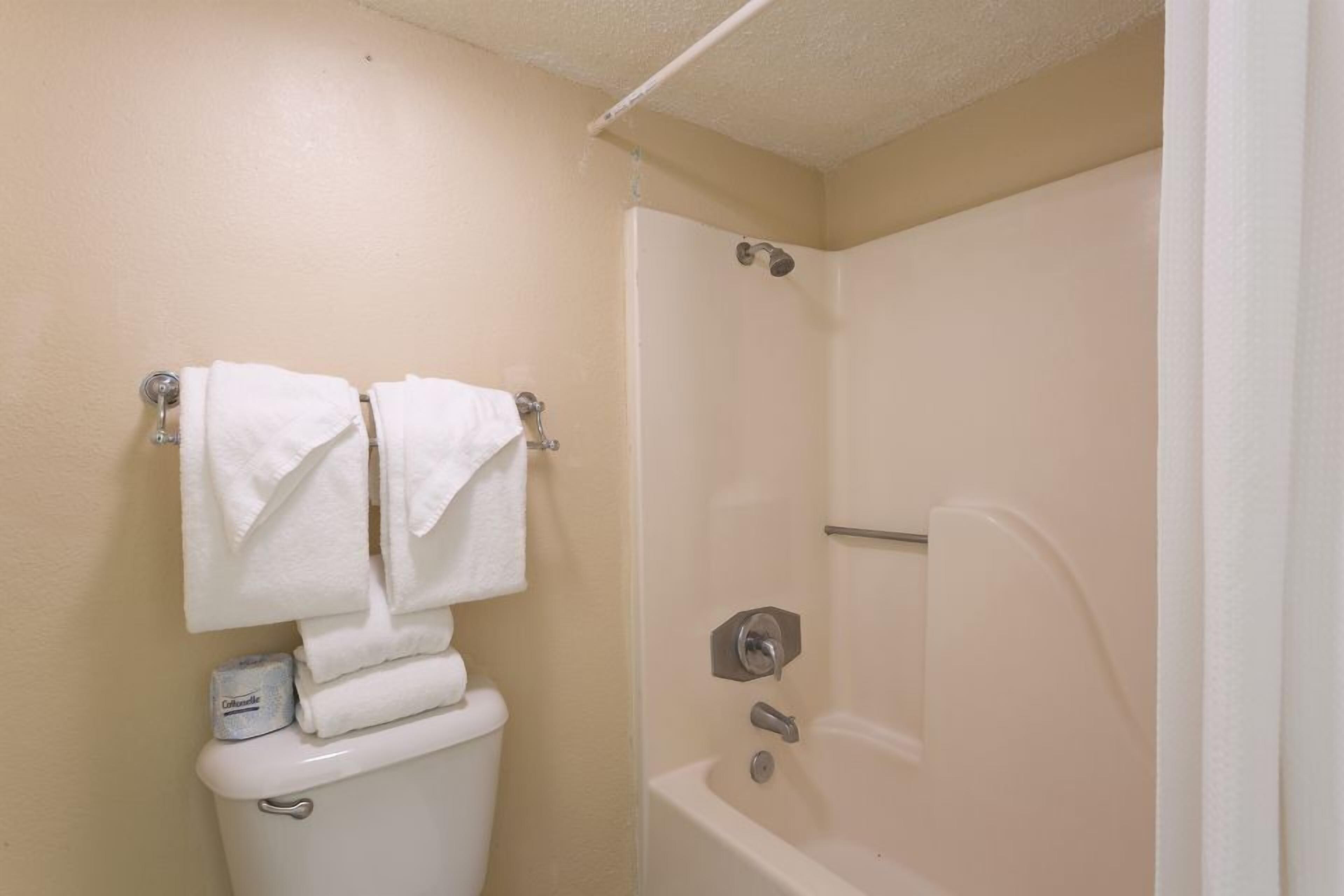 Een badkamer met toilet, bad en douche.
