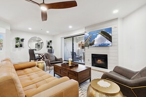 テレビ、暖炉、書庫、ビデオライブラリ