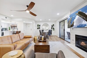 テレビ、暖炉、書庫、ビデオライブラリ