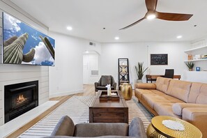 TV, fireplace, books, video library