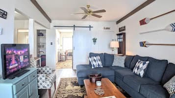 智能电视、DVD 播放器