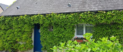Ein Haus mit einem steilen, mit Efeu bewachsenen Dach und einer blauen Tür.