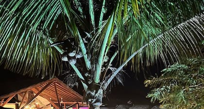 Charming 1-Bedroom Beachfront Hotel With Pool