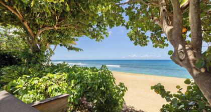 Pacific Pearl Beachfront Estate