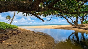A beach with a calm water body, sandy shore, and a tree providing shade. - "Hina Hideaway", Views, A/C, Walkable to Beach (Punaluu)