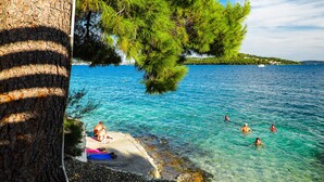 Une plage avec une eau claire, des gens qui se baignent et un tronc d’arbre au premier plan.