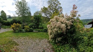 A garden with a gravel path, various shrubs, and trees. - Le Puy D'aubrac, Maison Familiale en Pleine Campagne (Florentin-la-Capelle)
